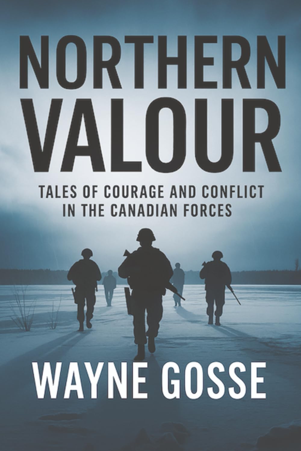Northern Valour: Tales of Courage and Conflict in the Canadian Forces