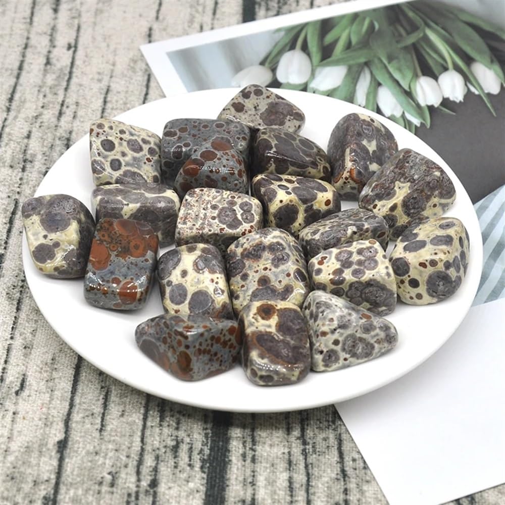 AtkitS Bellissimo Naturale variegato Fiocco di Neve Ghiaia Campione Dimensione Irregolare burattato Pietra curativa Cristal di Quarzo Minerale Decorazione Acquario Domestico(500g)