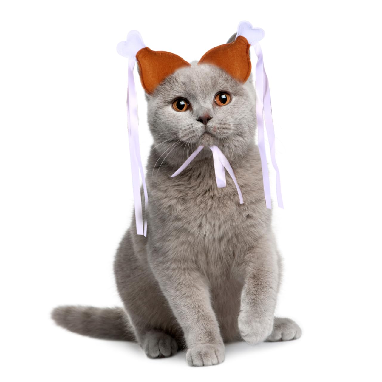 Kisangel 2pcs Chicken Leg Hair Band for Pets Creative Headdress for Dogs Cats Flexible Accessory for Parties Holidays