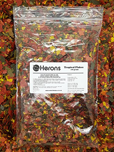 HERONS - Tropical Flakes - For all Tropical Fish - Guppies Bettas Neons Cichlids Angelfish Swordtails - Multi-Nutrient Complex - Supports Growth Colouration and Immune System - 100 Grams