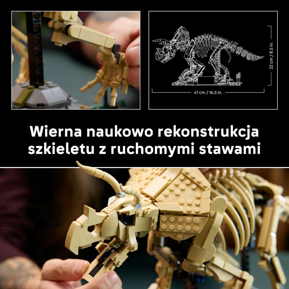LEGO Jurassic World Szkielety dinozaurów: triceratops 77985 | Kolekcjonerska figurka, model triceratopsa, prezent dla fana dinozaurów, zestaw dla dorosłych do ekspozycji, 1154 elementy