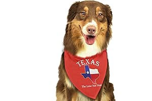 Texas Lone Star State Dog Bandana: Show Your Pup's Texan Pride