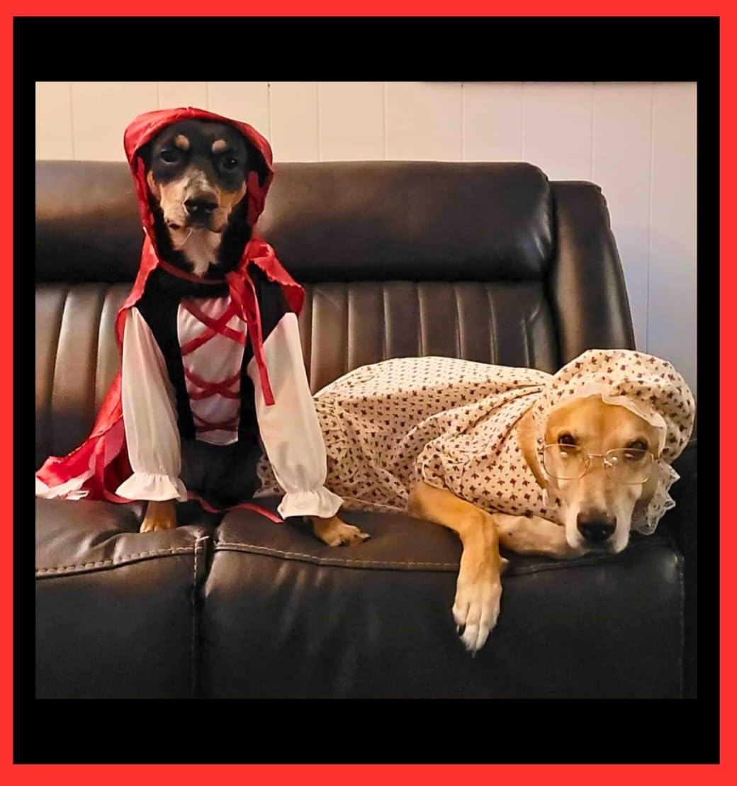 3 Pcs Old Lady Costume for Dog Grandmas Dogs Costume UK | Ubuy