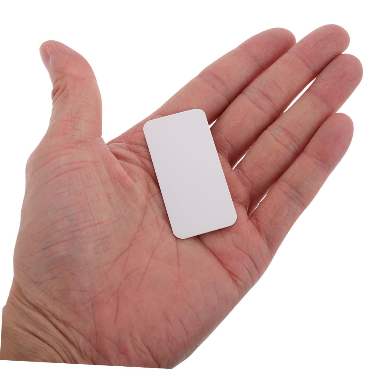 80pcs Insect Specimen Mounting Cards 65x25mm Thick Rounded Corner Butterfly Display Boards for Science Lab Teaching and Portable Entomology Collection