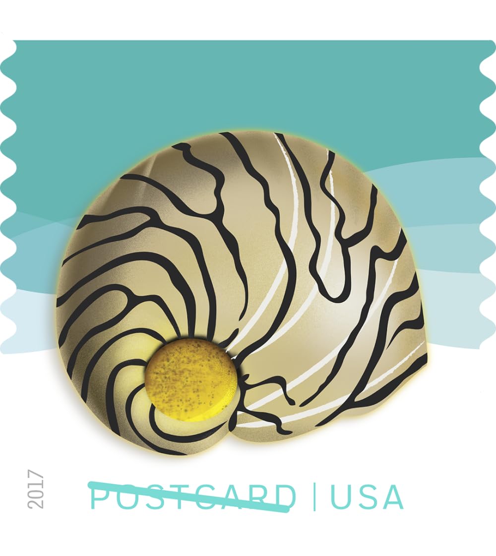 Seashells USPS Forever - Sellos de postal (20 unidades, 5 hojas de 20 sellos)