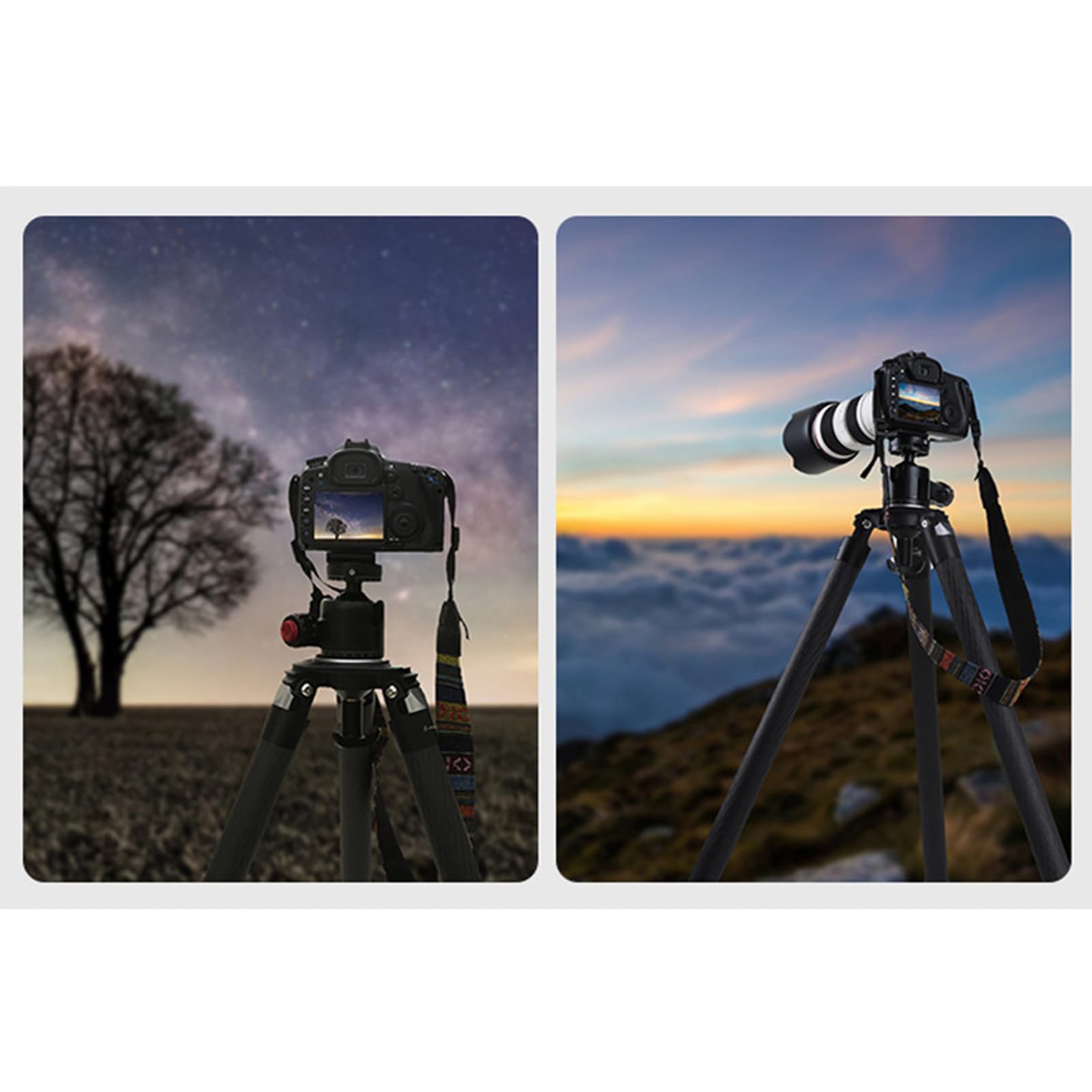 CHICIRIS DSLR Camera Tripod Extendable Professional Lightweight for Bird