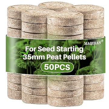 best seed starting supplies