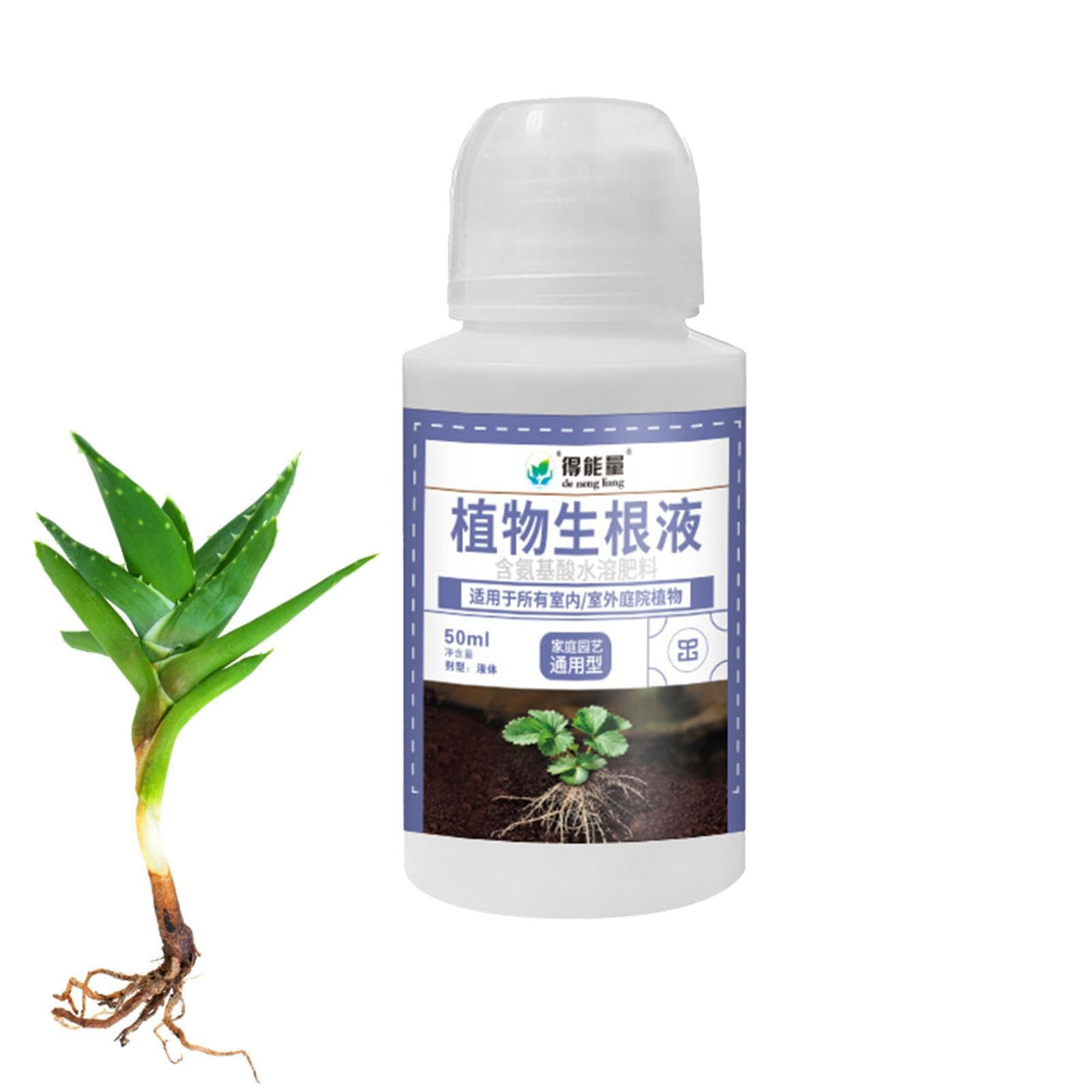 ulapithi Flssige Wurzelhormone,Sukkulentendnger - Hydroseeding-Set, 50 ml  flssiger Wurzelstimulator, Bonsai-Dnger, Aeroponik, Hydrokultur,  Stecklinge, Wachstum von Pflanzen im Innen : Amazon.de: Garten