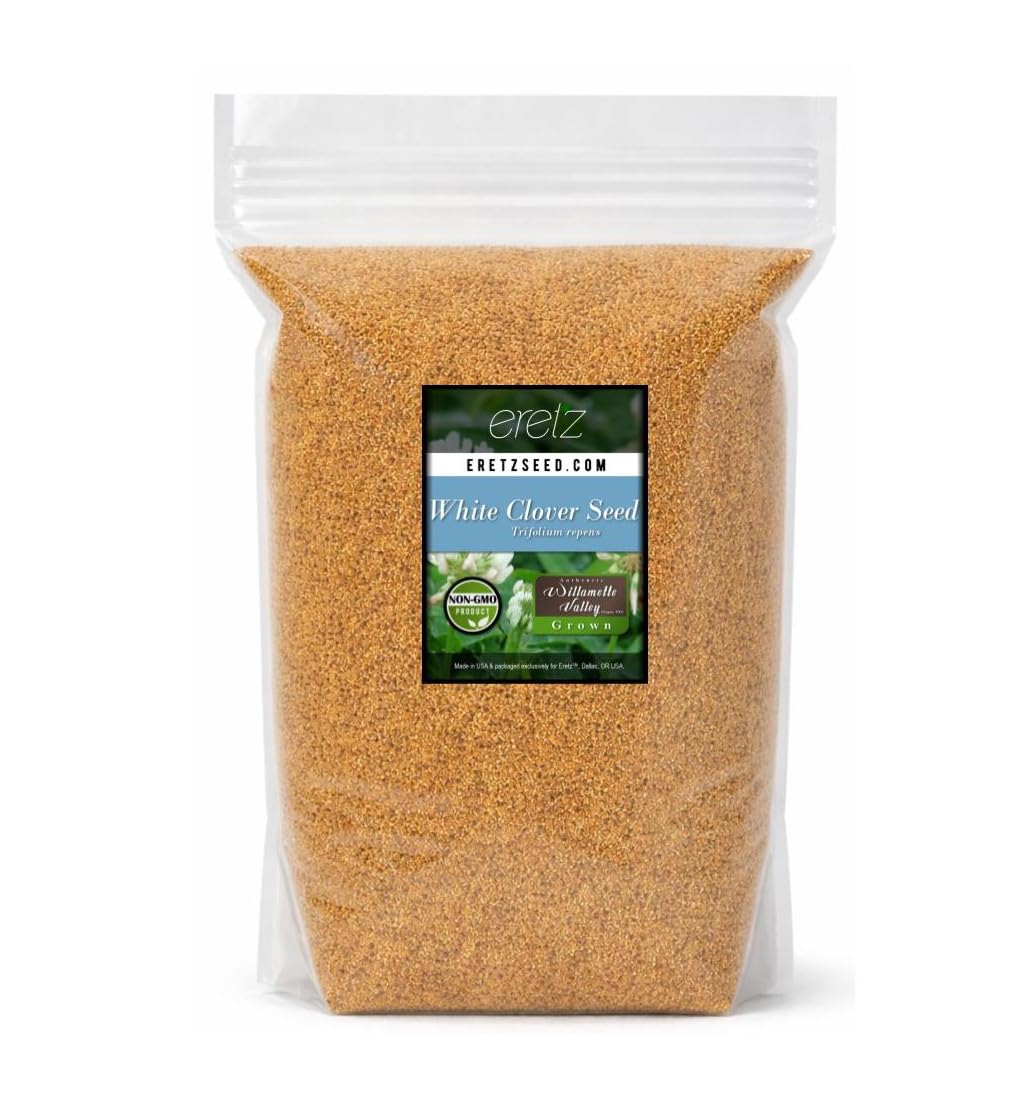 Eretz White Clover Seed