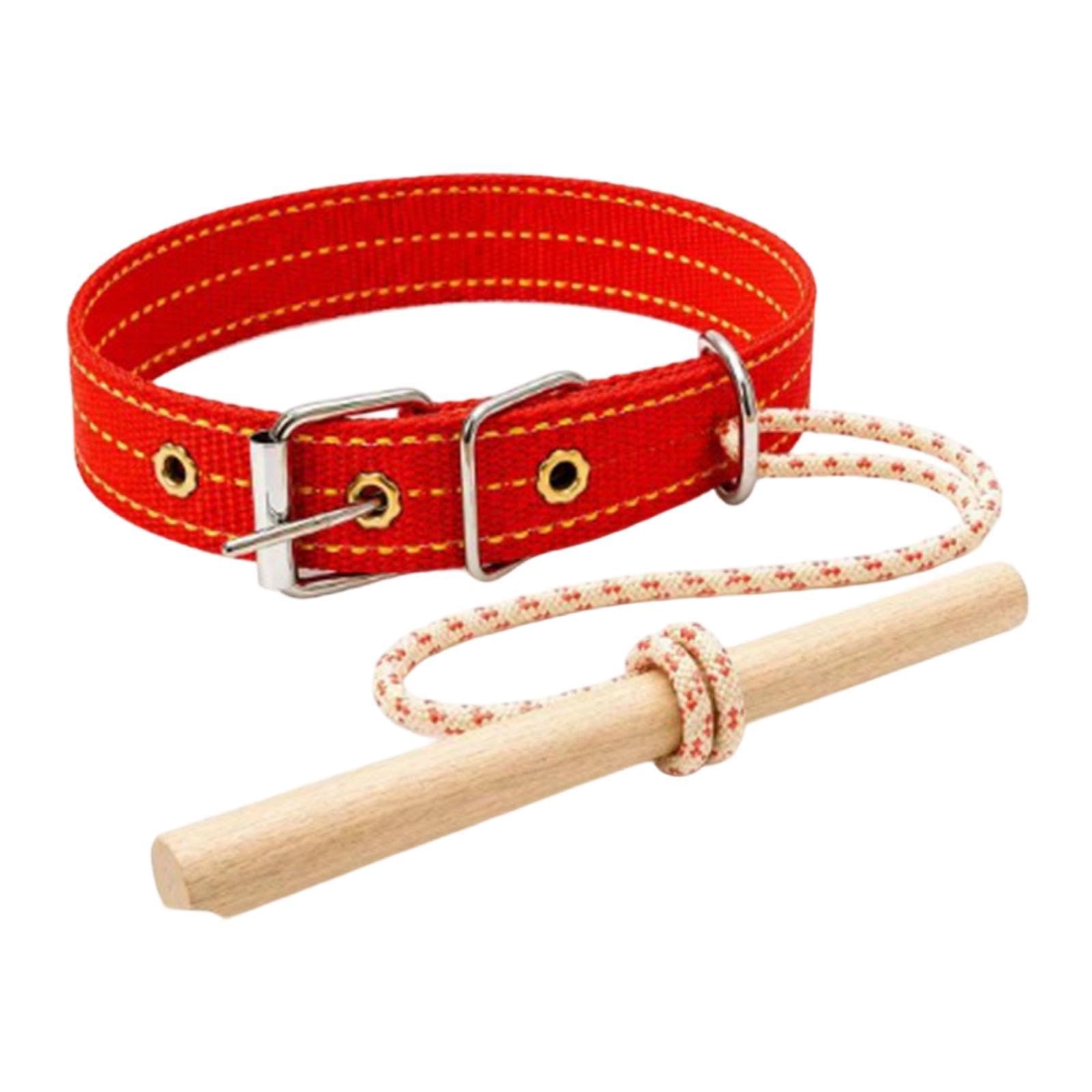 Herramienta entrenamiento antitirones para perros Colcolo con barra de madera ligera 8