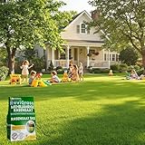 ECODECO B0F498TSKR lato 2