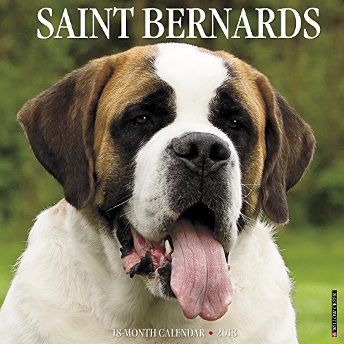 Just Saint Bernards 2018 Calendar