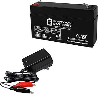 Mighty Max Battery