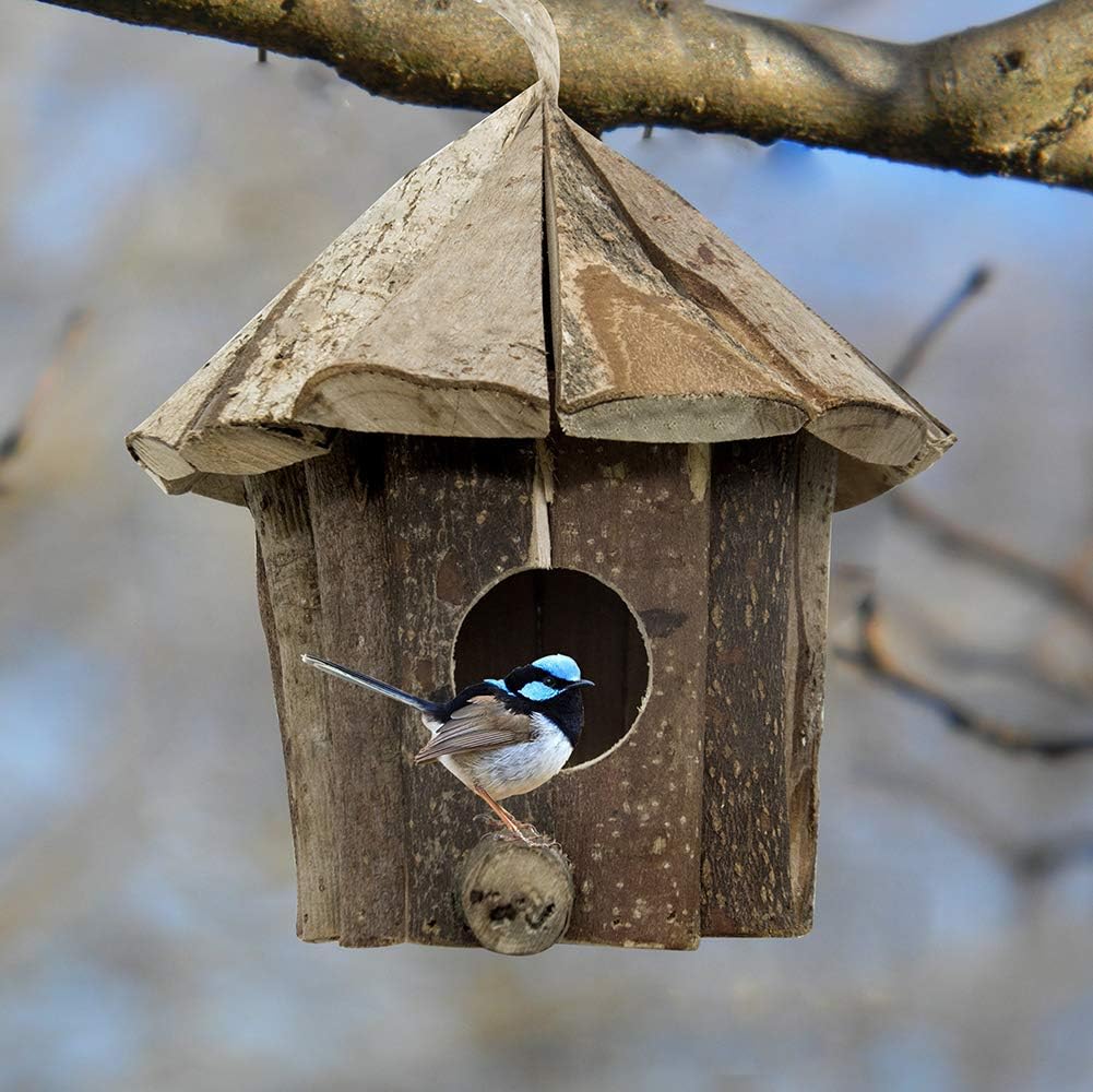 Bird Houses for Outside Chickadee Wren Bird House Handmade from Eco Friendly Materials