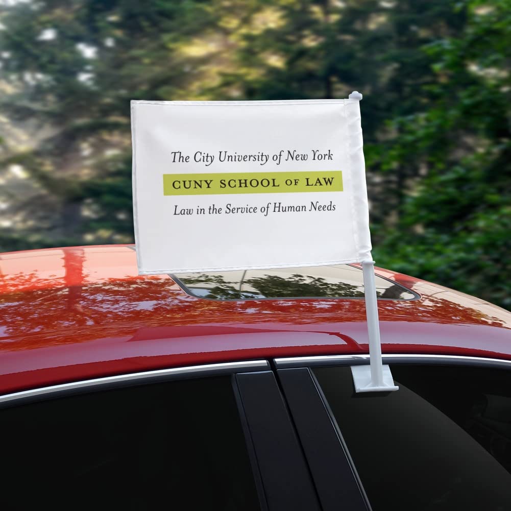 12x18 Jolly Roger Pirate Eye Patch Car Window Vehicle 12