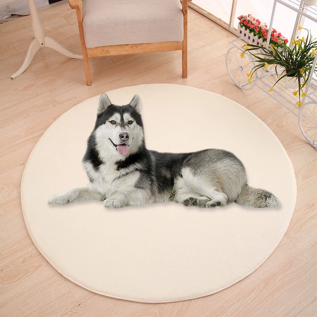 Waigg Kii Large Dog Bed Mat,Coral Velvet Soft Round Carpet Area Rug Pet Mat,Anti-Anxiety Dog Mattress for Small Medium Large Cats Dogs (60CM,Beige) — image 1