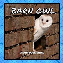 Barn Owl Wildlife Books for Kids Wildlife book for young children