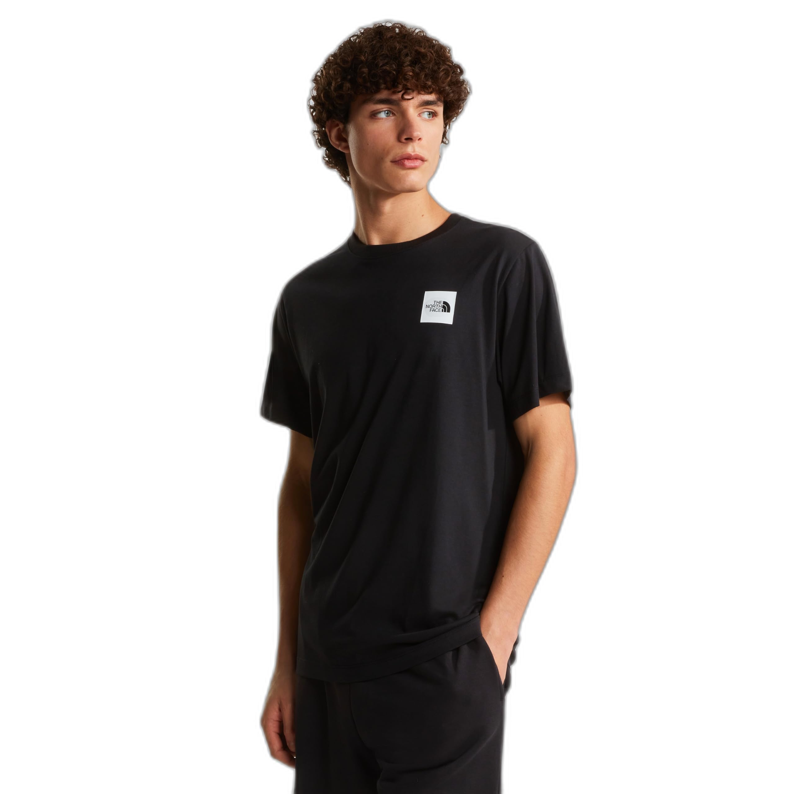 THE NORTH FACE M Evolution Box Half Dome Regular Short