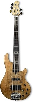Lakland Skyline 55-02 Deluxe 5-string Bass Guitar - Spalted, Rosewood