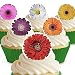 Cakeshop 12 x PRE-CUT Mixed Color Gerberas Edible Cake Toppers