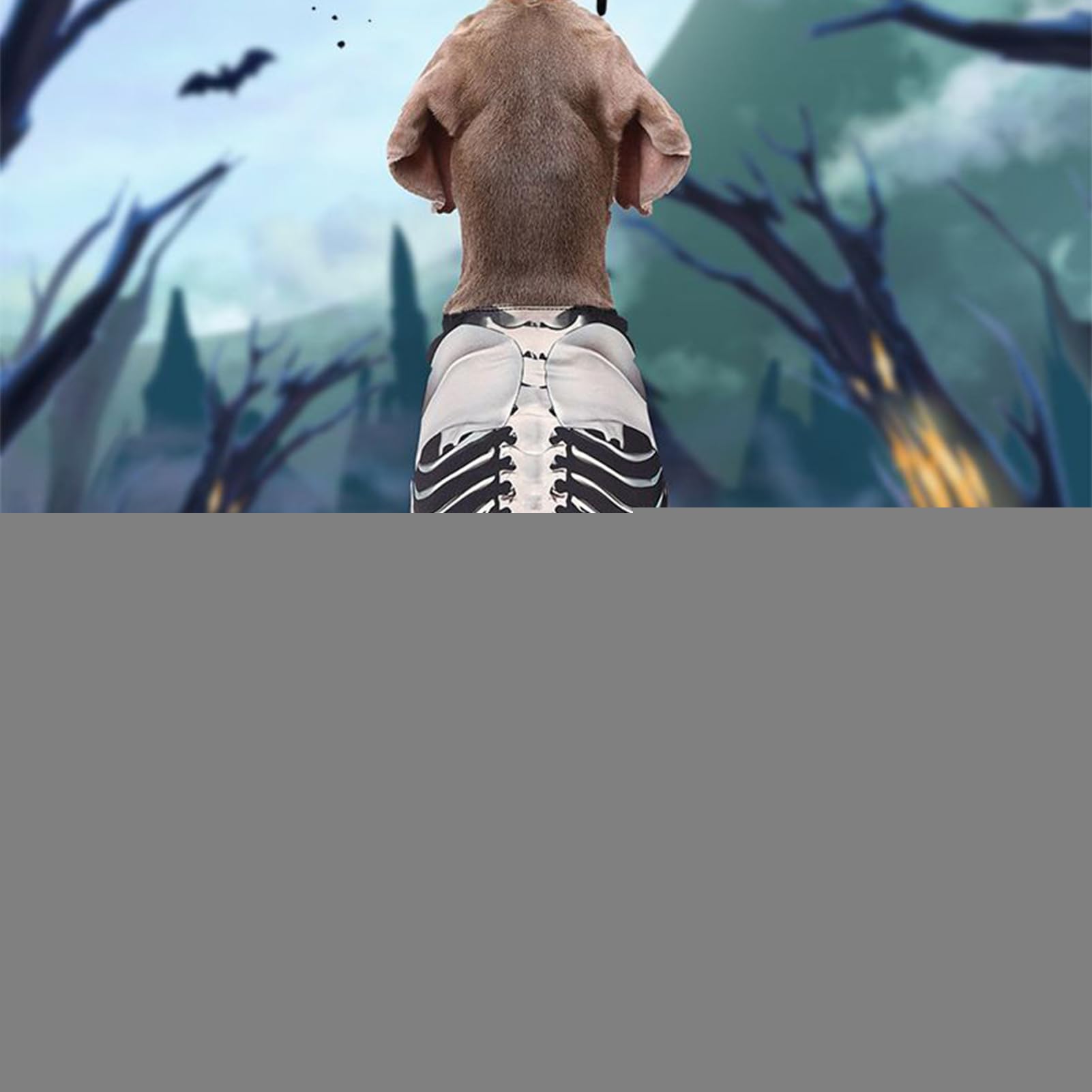 View 8