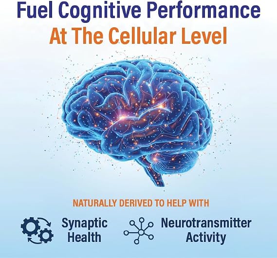 Memory & Focus Supplement Clinically Studied Plant-Based Brain Support for Adults & Seniors, Supports Concentration & Recall, Made in USA (5 Pack, 300 Capsules)