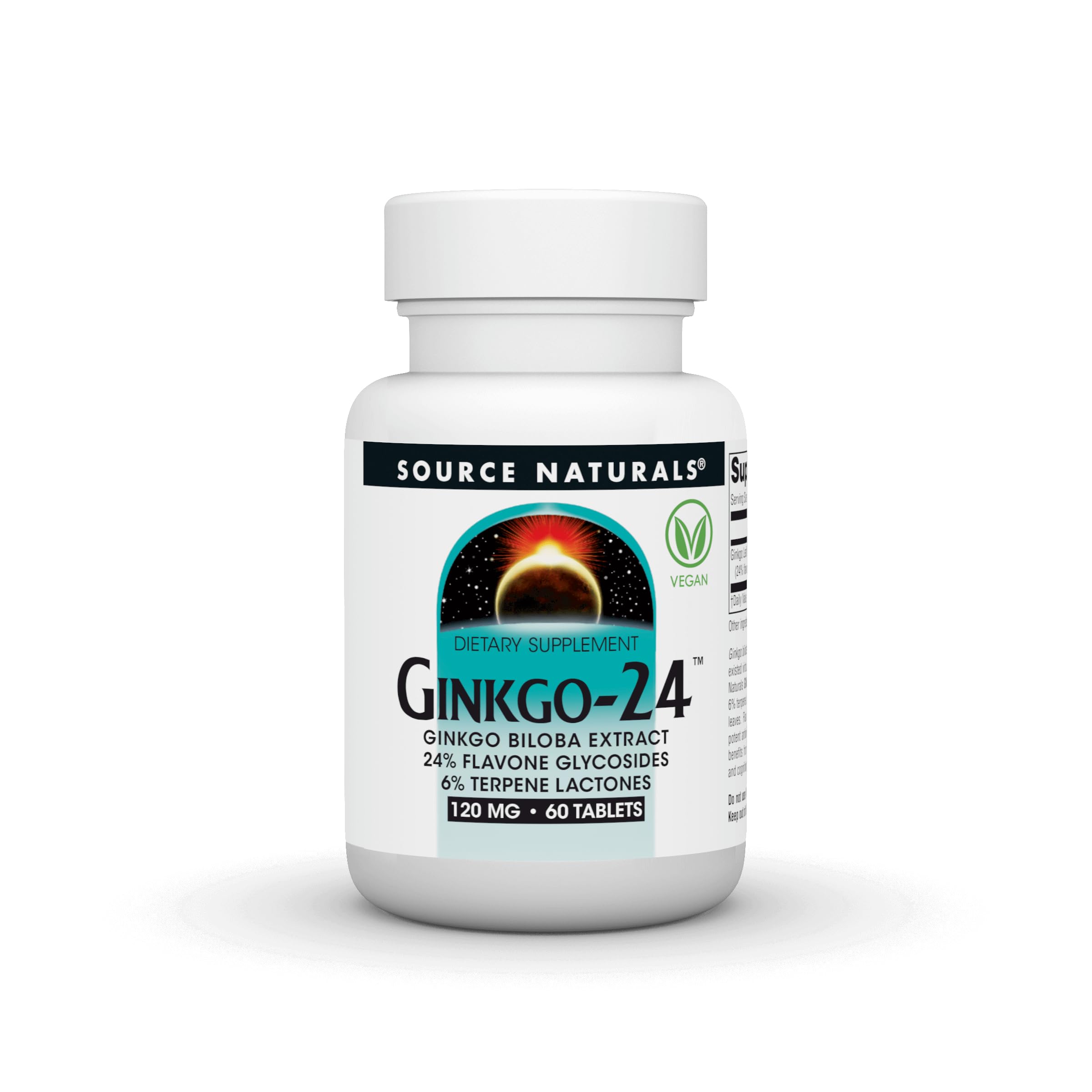 Source Naturals Ginkgo-24, 120 mg - 60 Tablets 60 Count (Pack of 1)