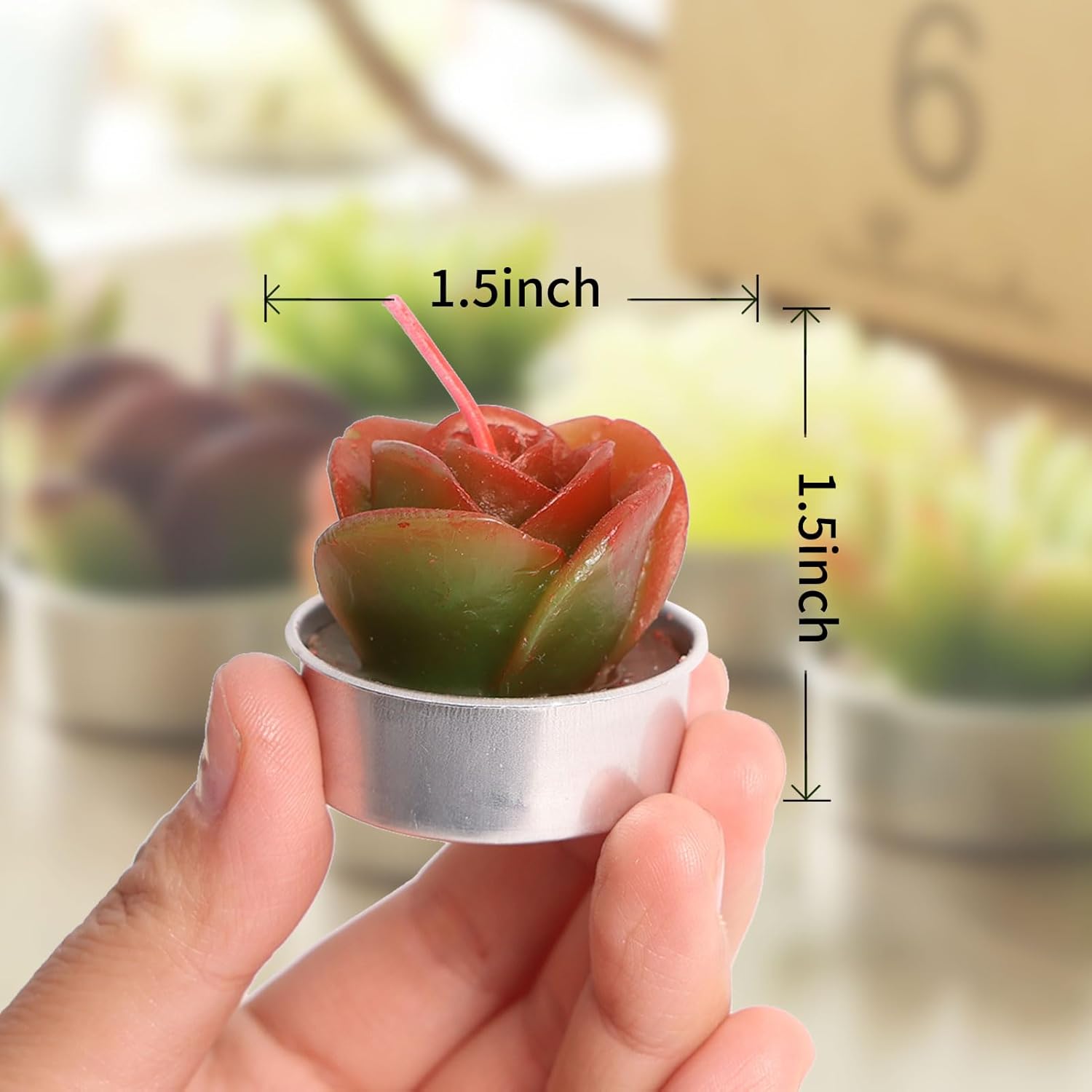 AIXIANG 6 Styles Succulent Tealight Candles Gifts for Home Decor,Mothers' Day, Halloween, Thanksgiving, Christmas - Image 7