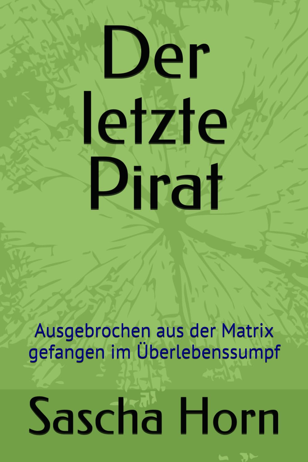 Der letzte Pirat: Ausgebrochen aus der Matrix gefangen im überlebenssumpf