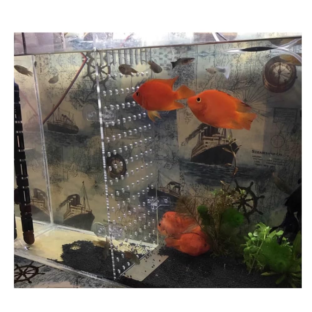 Akwarium Fish Tank Przegroda Płyta Izolacyjna Fish Tank Płyta Izolacyjna Przegroda Odcięta Izolacja Siatka Separator Płytka Łatwa do Czyszczenia Żel Krzemionkowy Przyssawka Zapobiega ugryzieniu ryb