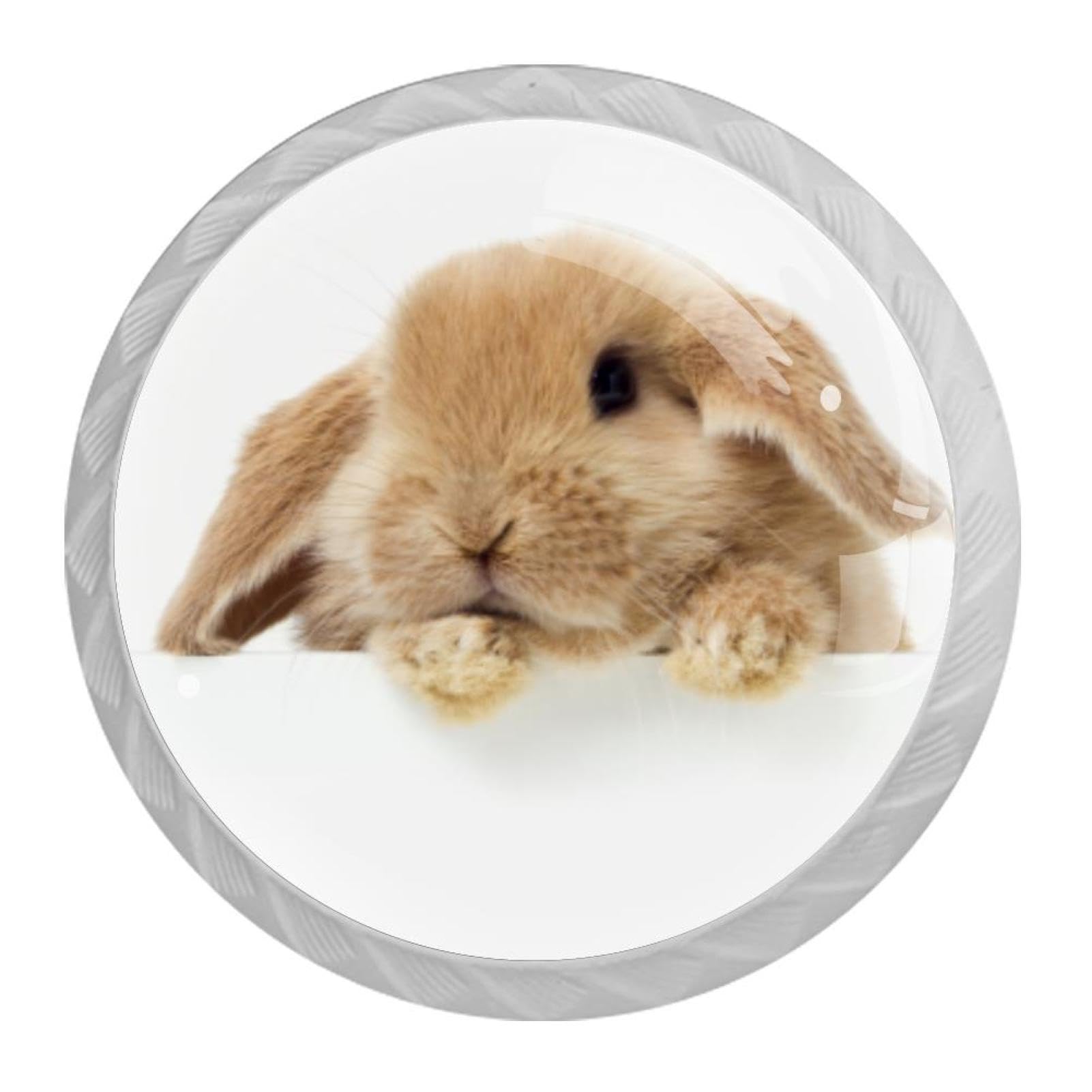 Tqmspg 4 Pieces Drawer Pulls Cute Rabbit Door Knobs Dresser Handles for Kitchen Wardrobe Cupboard Hardware Furniture