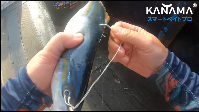 Amazon.co.jp: KANAMA スマートベイト プロ Smart Bait Pro カナマ