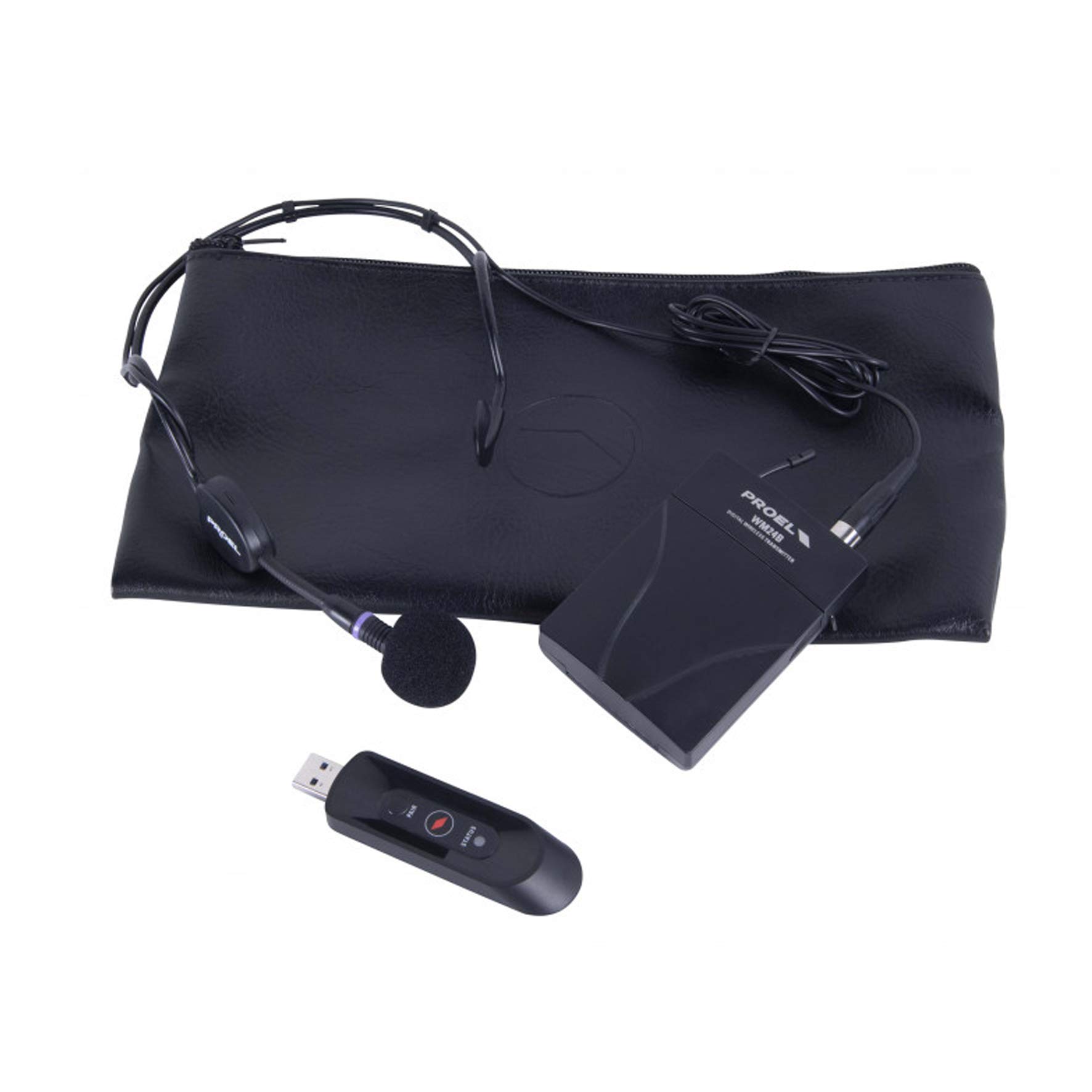 PROEL U24B - Microfono Wireless USB Professionale Dinamico ad Archetto per Voce Canto Karaoke, Nero