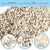 HAPYSHOOP 2000 PCS Tiny Sea Shells Mini Shells for Crafting & 20 Small Starfish for Fish Tank and Vase Filler,Home Decorations Candle Decor Beach Theme Party DIY Craft Supplies #2