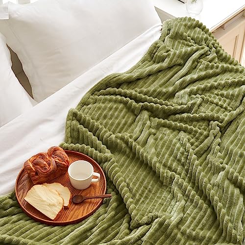 MIULEE Flannel Fleece Throw Blankets Soft Warm Comfortable Throws for Sofa Corduroy Fluffy Blanket Bed Throw for Bedroom Couch Travel Kids Bedroom Accessories 60x80Inch Green - Image 3