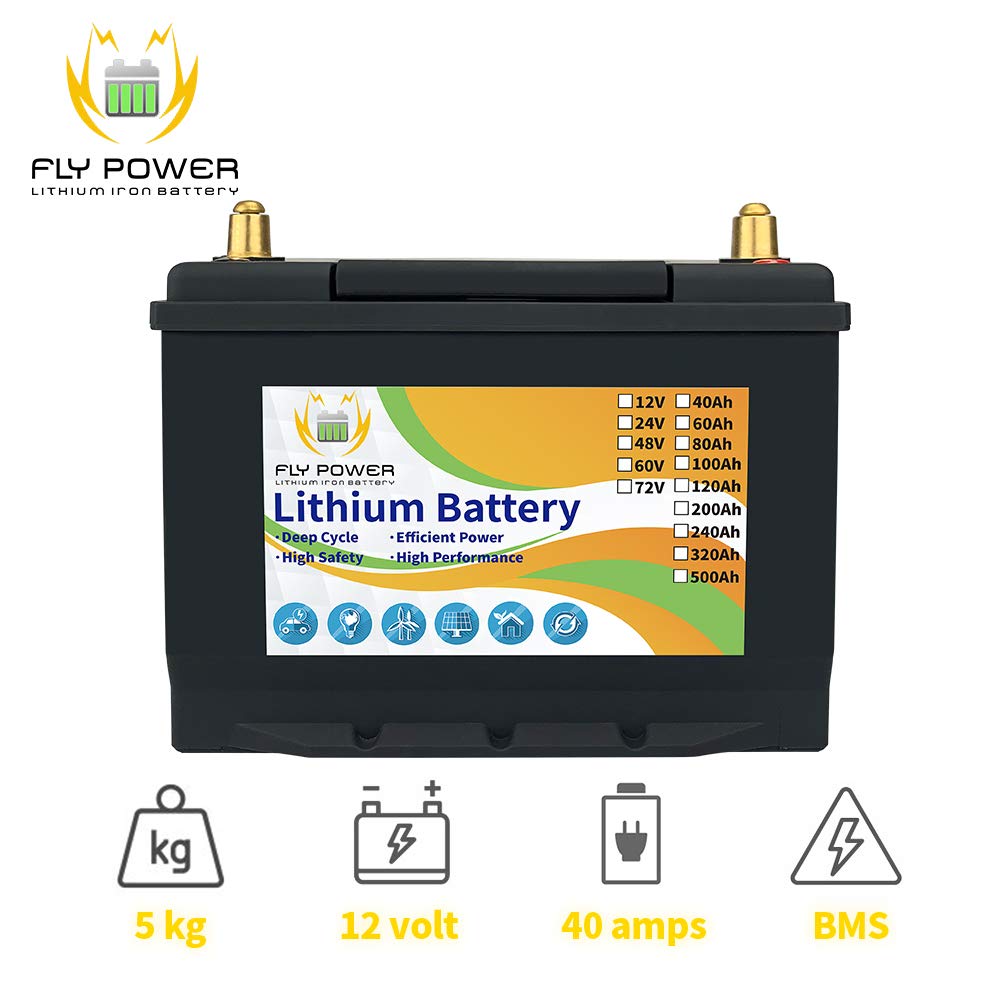 12v 40Ah LifePo4 Battery Deep Cycles with BMS Lithium Iron Phosphate