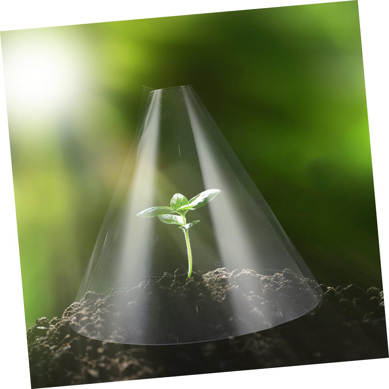 Abaodam Cloches per Piante Riutilizzabili 30 Pezzi in Plastica per Giardino