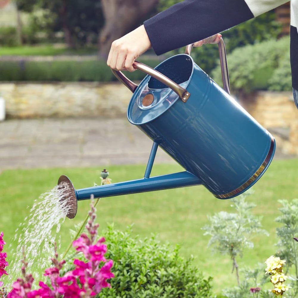 Bidon D'eau Pour, Arrosoir | Arrosoir Rétro En Métal Avec Poignée