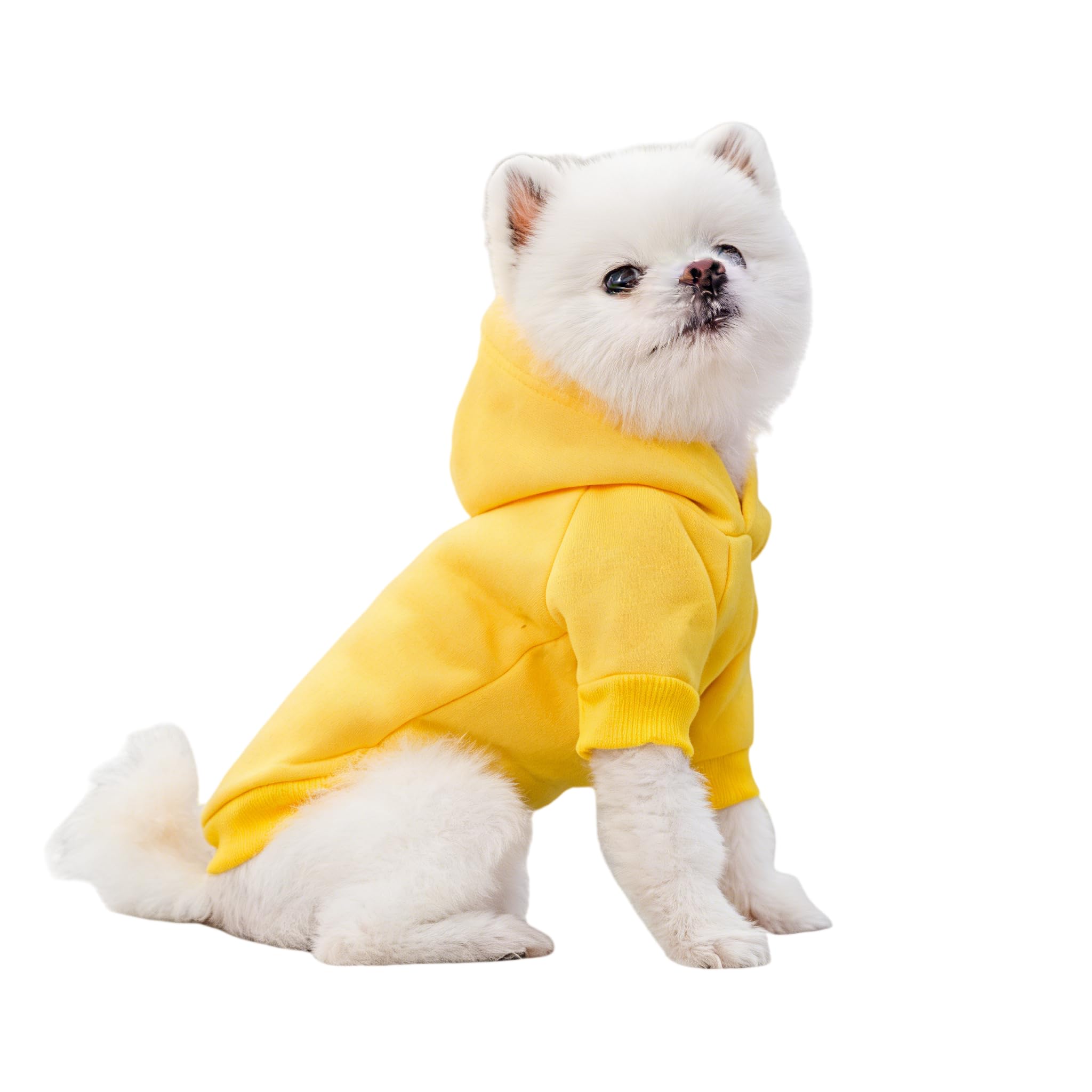 Mumoo Bear Dog Hoodie Clothes,Cute Cotton Warm Hoodie Jacket Puppy Sweater Dog Sports Cest T-Shirt (Yellow, L)
