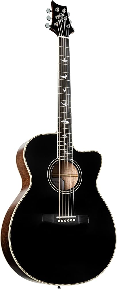 Amazon.com: PRS Guitars 6 String SE A20E Acoustic Electric