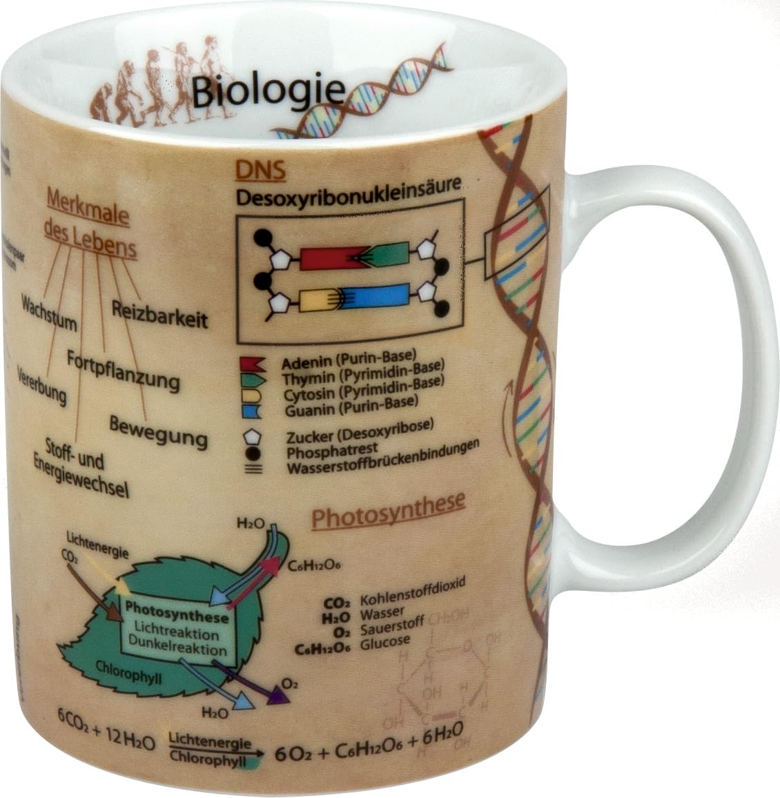 Könitz Branded Knowledge Mug Biology, Porcelain, Perfect for Coffee, Tea and Other hot Drinks, 1 Pack