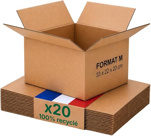 Caisse carton emballage colis M - Lot de 20-31 x 22 x 20 …