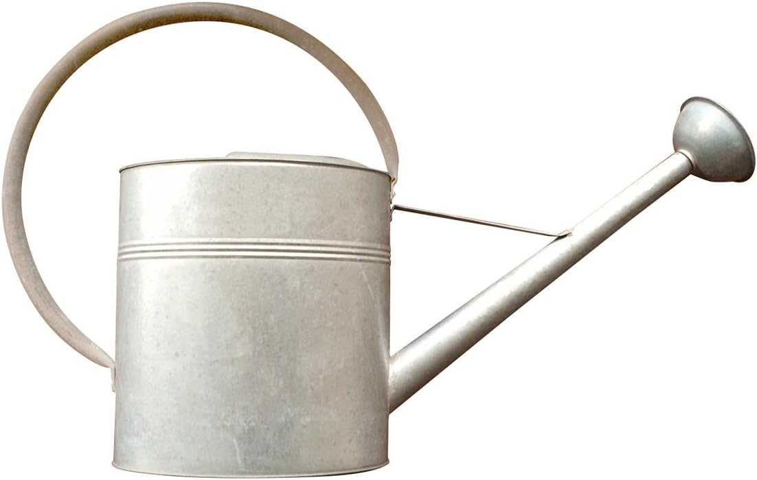 Panacea Extra Large Vintage Galvanized Watering Can