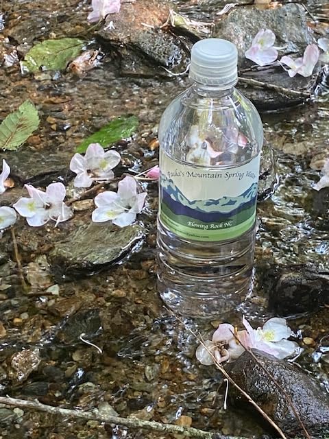 PAULA'S MOUNTAIN SPRING WATER 24 - 20 FL OZ BOTTLES