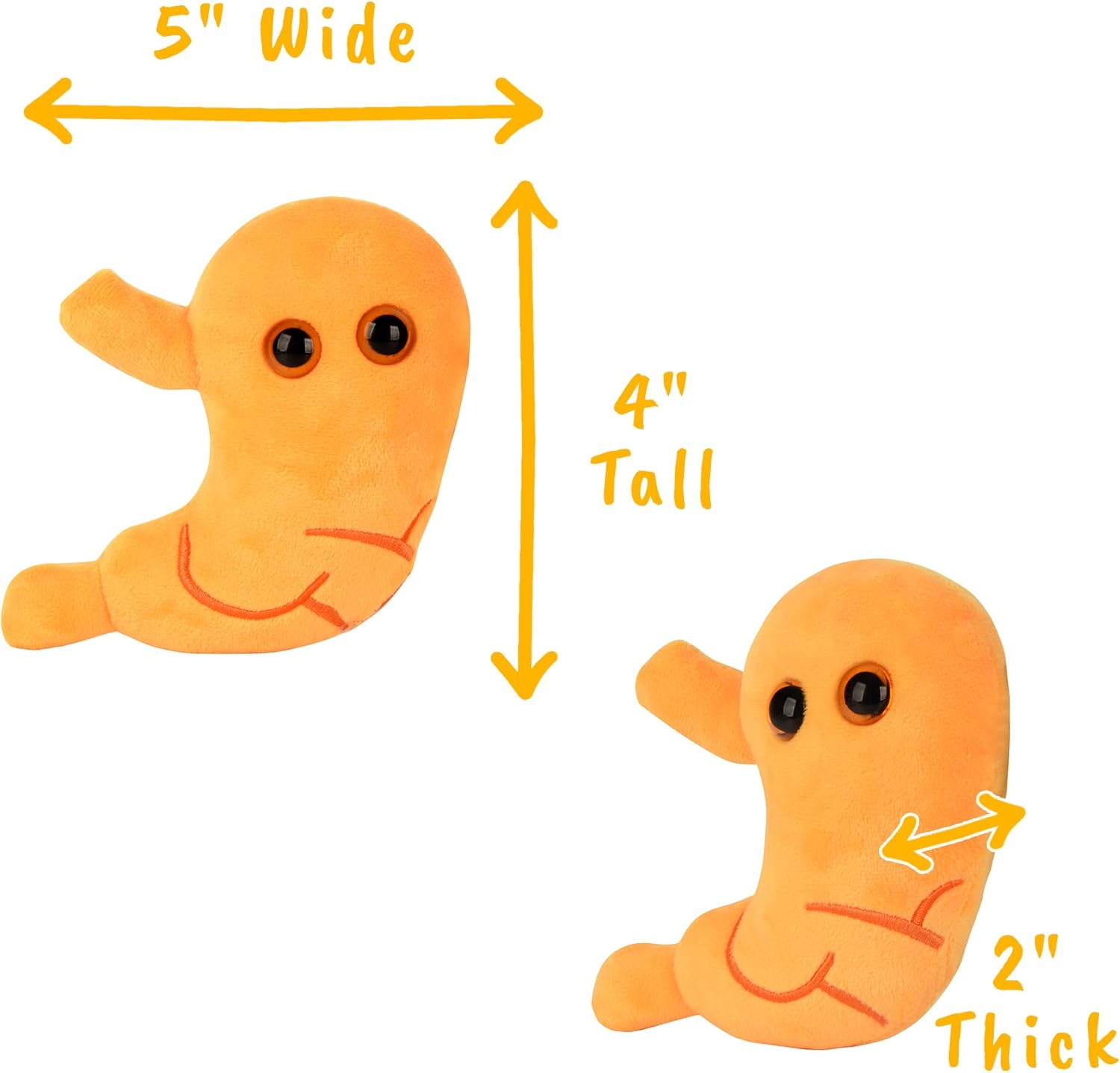 GIANT MICROBES Stomach Plush, Gastric Bypass Must Haves, Bariatric Surgery Must Haves, Gastroenterology Gifts, Surgical Tech Gifts, Acid Reflux, Dietitian Gift, Stomach Cancer Awareness, IBS Warrior - Image 3