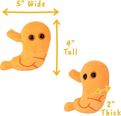 Miniatura 3 de GIANTmicrobes - Peluche estomacal  Juguete anatómico de órgano, regalo de recuperación de cirugía bariátrica, regalos de bypass gástrico, manga