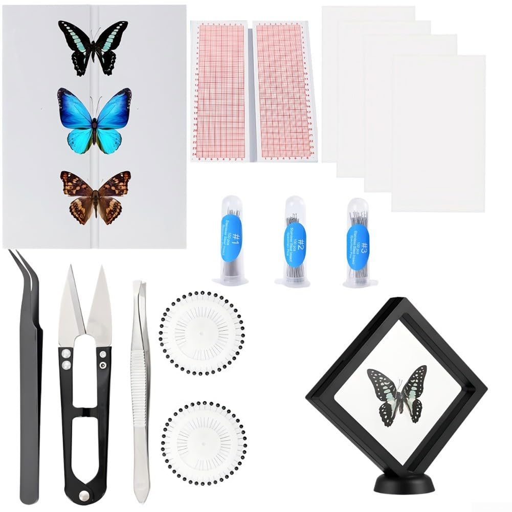 Insekten Präparier Set 6-teilig mit EVA Nadelbrett, Koordinatenpapier & Glasine – Edelstahl Nadeln für Schmetterlinge & Käfer – Komplettkit für Anfänger