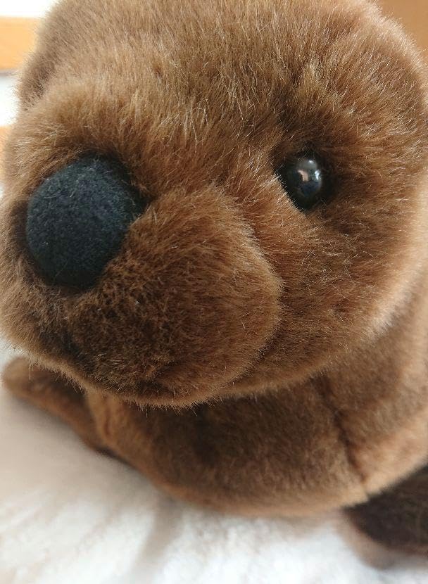 仙台 うみの杜水族館 アシカ ぬいぐるみ Amazon.co.jp: 仙台 うみの杜水族館 アシカ ぬいぐるみ : ペット用品
