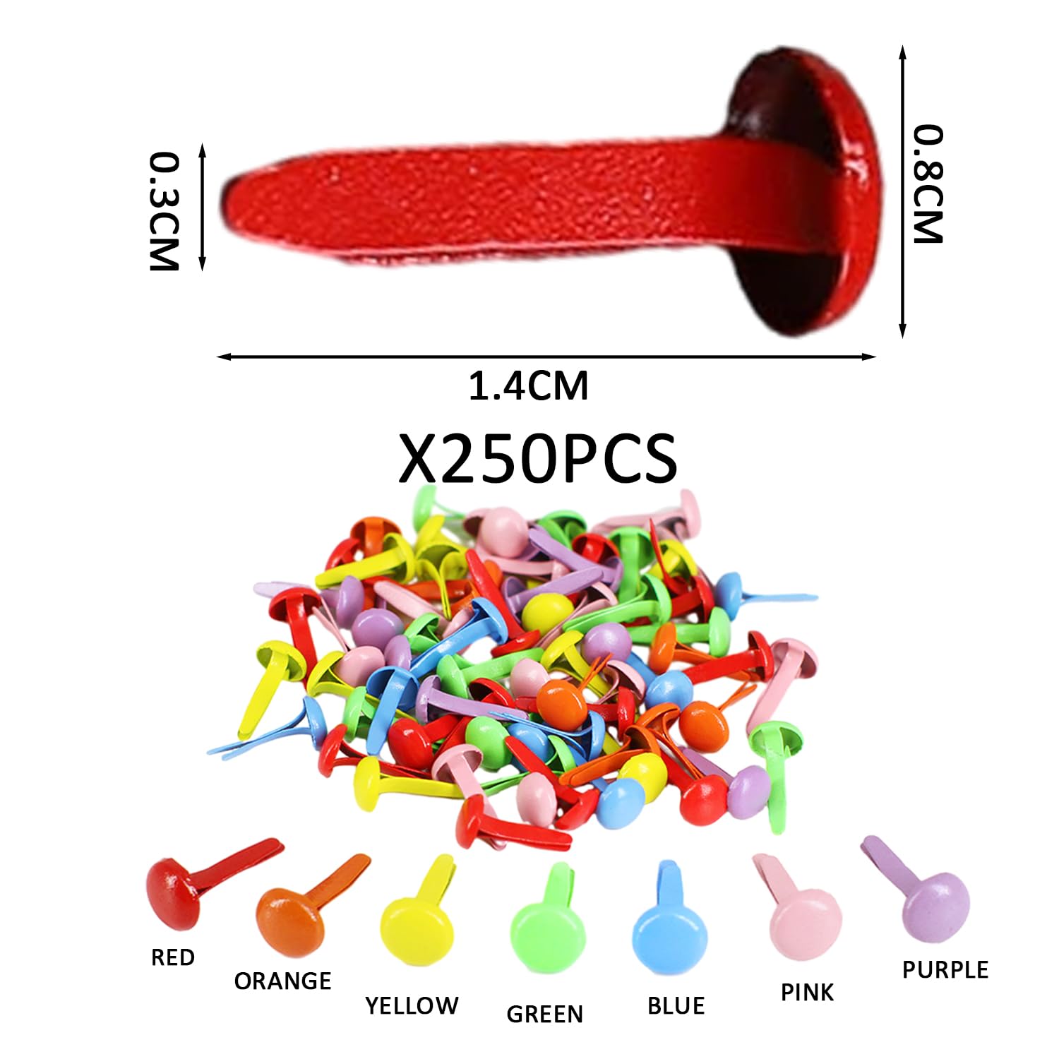 MAXQUU Lot De 250 Clous à Deux Pieds, Pinces à Motif Rondes