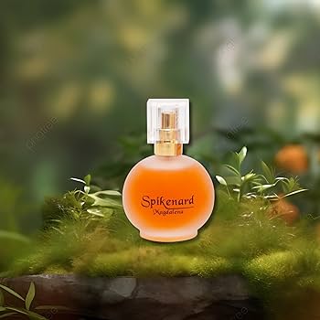 Amazon.com : Spikenard Magdalena 3 Arches USA 1.7 fl oz/50ml